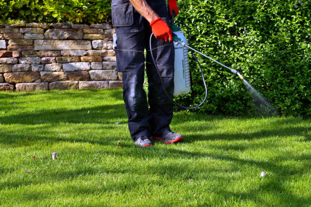 Best Outdoor Pest Control  in USA